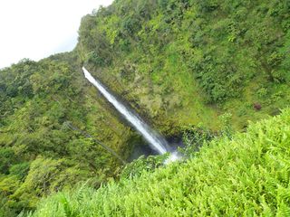 P1010966 P1010966