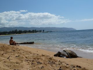 P1020027 P1020027